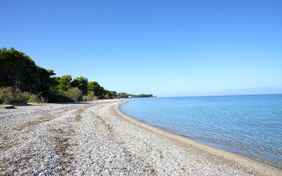 Auf der einen Seite säumt der Pinienwald den Strand